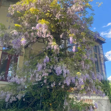 La Fraiziere 3*